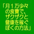 「わずか月１万少々の食費で、何千億円もの健康を稼ぎ、あなたの一生の夢を実現させる健康長者養成１０日間ナビ」