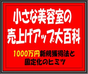 小さな美容室の売上げアップ大百科（チラシとニュースレターを変えただけで新規客売上げ１３２８万円を叩き出したヒミツを大公開！！）