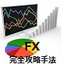 FX完全攻略手法