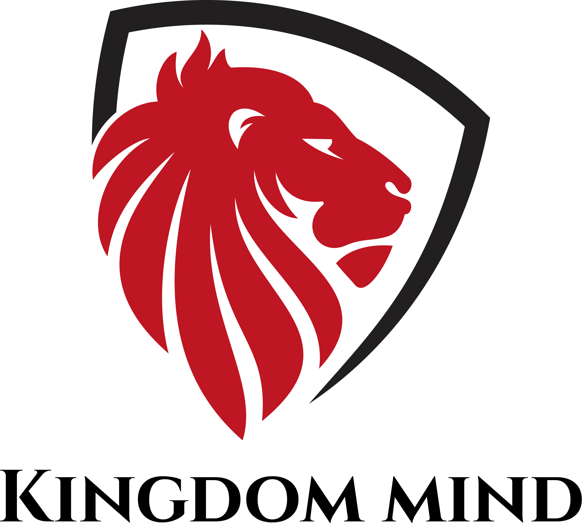KINGDOM VISION