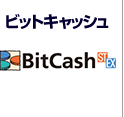 ビットキャッシュ