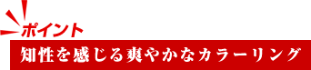 知性を感じる爽やかなカラーリング